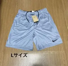 Nike ライトブルー ショートパンツ　Lサイズ