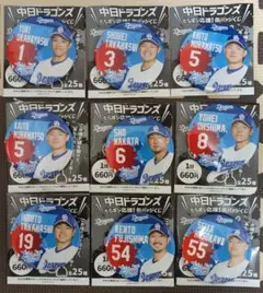 中日ドラゴンズ缶バッジくじ 缶バッジ9点