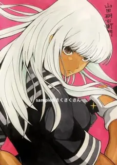 一騎当千 Animation Art Works I+II 画集 2冊セット