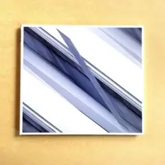 アワーミュージック 相対性理論 渋谷慶一郎