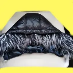 Item thumbnail for item fa69c797-6f3b-4ce6-9193-518ef35cdb55