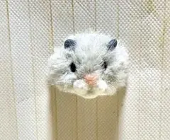 ハンドメイド ファーリークレイ マグネット きんくま ハムスター