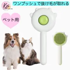 Item thumbnail for item 87fe87d7-3ad9-43cd-8673-dd43c846dbcd