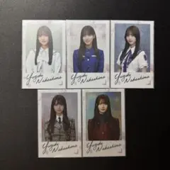 櫻坂46 中嶋優月 クリアステッカー セミコンプ 5種