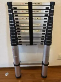 Item thumbnail for item 738e50a7-0fcb-436f-8aa0-2822a610c645