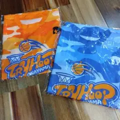 Item thumbnail for item d717a2aa-2143-446c-bd01-4712166e40ef