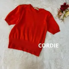 お買い得‼️ 【コルディア】　トップス　ニット　半袖　 薄生地　ショート丈　40