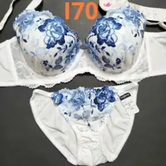 Item thumbnail for item 548aded9-4846-4d30-afd3-e7f9ab8694b7