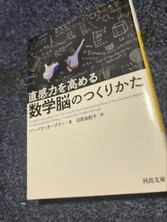 直感力を高める 数学脳のつくりかた