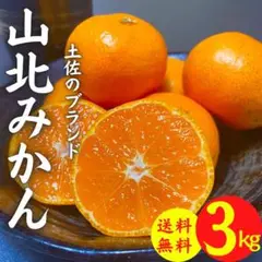26高知県産 厳選 山北みかん 3kg みかん 糖度約15度