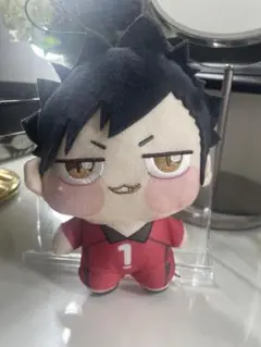 【ハイキュー】黒尾鉄朗 ちょぴぬい