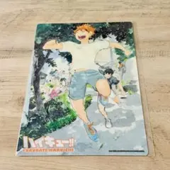 ハイキュー　下敷き　ジャンフェス　JF2015限定