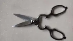 Item thumbnail for item 958fb63e-3b64-4bdb-ae13-562482348833