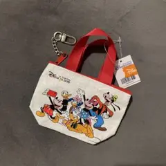 香港ディズニーランド ミニエコバッグ