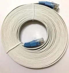 LANケーブルフラットタイプ4.5m(Cat5e)(新品未使用品)