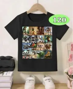 イタリアンブレインロット Tシャツ　トゥントゥントゥンサフール　116-128