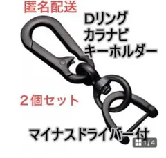 カラビナ キーホルダー ２個セット 取り外し可能Dリング キーリング 匿名配送