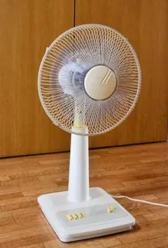 ★動作品 レトロ 扇風機 CENERAL ゼネラル 30cm 3枚羽根 扇風機 1920年代 ゼネラルエレクトリック -通販-ローズボール