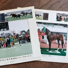 シャープキック号 優勝馬記念　生写真プレート2枚