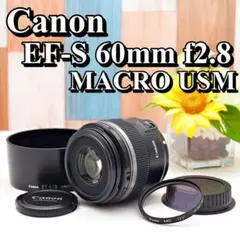 Item thumbnail for item 541e1125-0e1a-4821-af8d-0132166ad600
