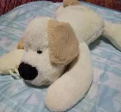 ぬいぐるみ  犬