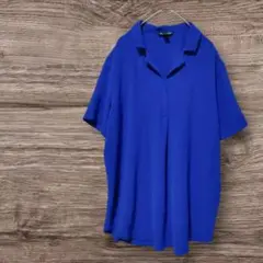 HILARY RADLEY 半袖開襟シフォンブラウス シャツ M 青