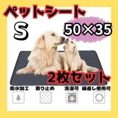 Item thumbnail for item 7e897bfe-8ede-4a81-a9a9-24cccea9f5e3