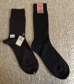 Item thumbnail for item ffddb296-1210-4767-8d96-55871ea1f809