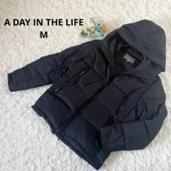 Item thumbnail for item 1ec727f2-4495-42b3-b70d-5fa70e8e6b97