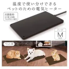 Item thumbnail for item bdf7d3e2-b294-4997-a4bc-87dca4534b19