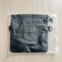 Item thumbnail for item 827d1915-a26f-4a9a-be2d-d86c002fda34