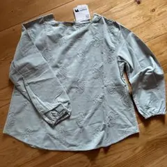 Item thumbnail for item 32394430-9f2f-4938-b51c-716304712024