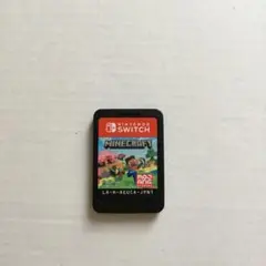 Minecraft Nintendo Switch ソフトのみ