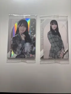 Item thumbnail for item b2a88e7e-ccb2-4eab-b406-e939b120a57c