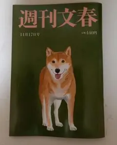 週刊文春 11月17日号