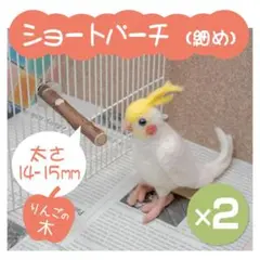 Item thumbnail for item b6384ed8-c2b4-4e99-9ff1-446f0023031f