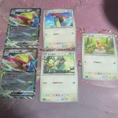 ピジョットexセット