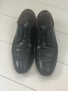 Allen edmonds アレンエドモンズ 10D