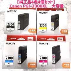 Item thumbnail for item 0cd412d5-b770-48ed-9f86-a89c025576af