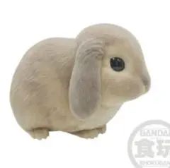 Item thumbnail for item 86229d7a-2c43-46d5-89c9-ca8a809bfe04