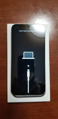 Apple iPhone 1２ 本体 グリーン　ジャンク