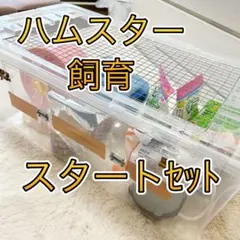 Item thumbnail for item 1d1433e2-ddff-4848-9d6d-f14af1a08ec5