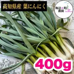 高知県産【高級食材♪葉ニンニク】400g 産地直送! 即購入OKです。