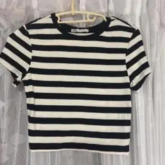 未使用ZARAＴシャツ