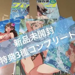 週刊プレイボーイPREMIUM 2025上半期グラビア傑作選　新品　特典コンプ