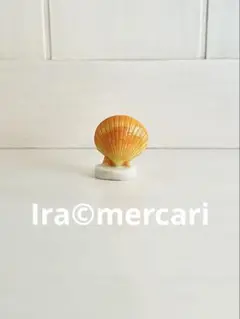 貝殻のフェーブ①フェーヴ　ミニチュア　陶器　フランス　海