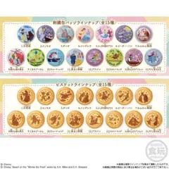 Disney Characters 刺繍缶バッジビスケット アナと雪の女王