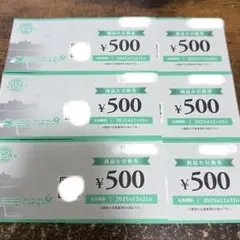 阪神甲子園球場 商品お引換券 500×6枚 3,000円分