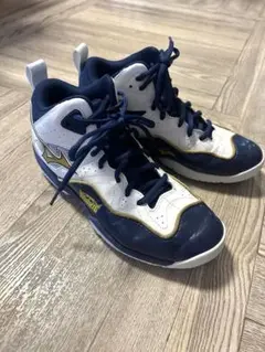 Item thumbnail for item 1841c220-c7a9-4a34-bab5-44c729e7b90b