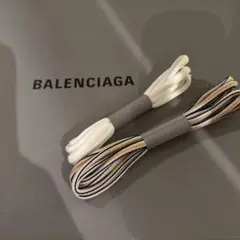 Item thumbnail for item 47032705-8b65-4aab-995c-86f405d01f7a